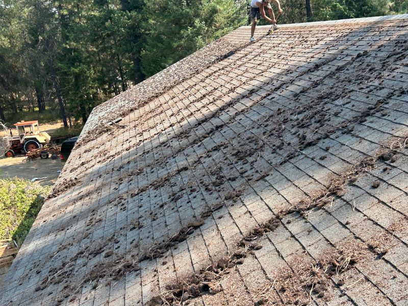 Roof Cleaning