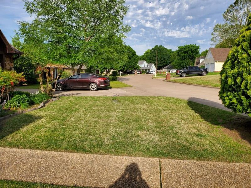 Landscaping
