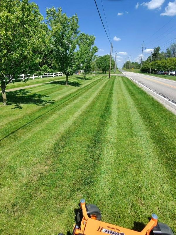 Lawn Maintenance