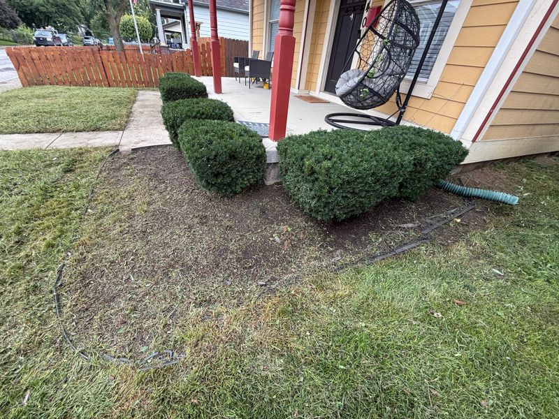 Weekly Lawn Maintenance