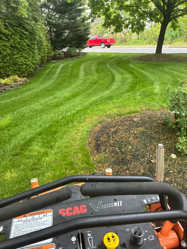 Lawn Maintenance