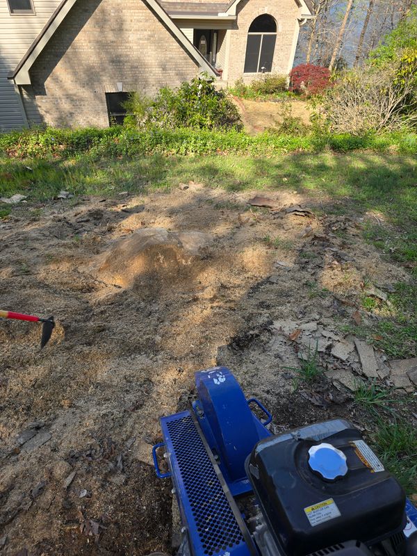 Stump grinding or removal