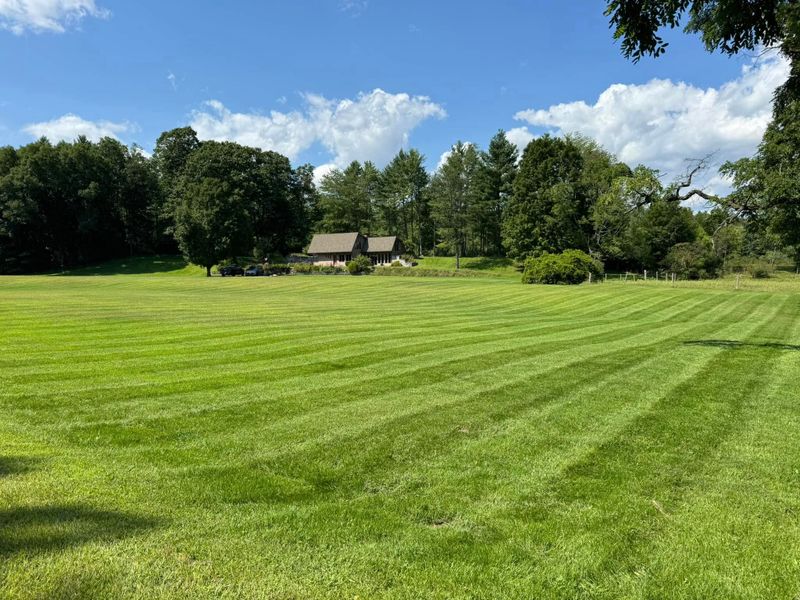 Lawn Maintenance