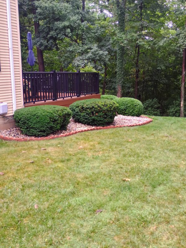 Lawn Care and Maintenance