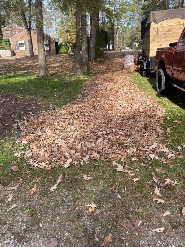Debris Removal and Cleanup