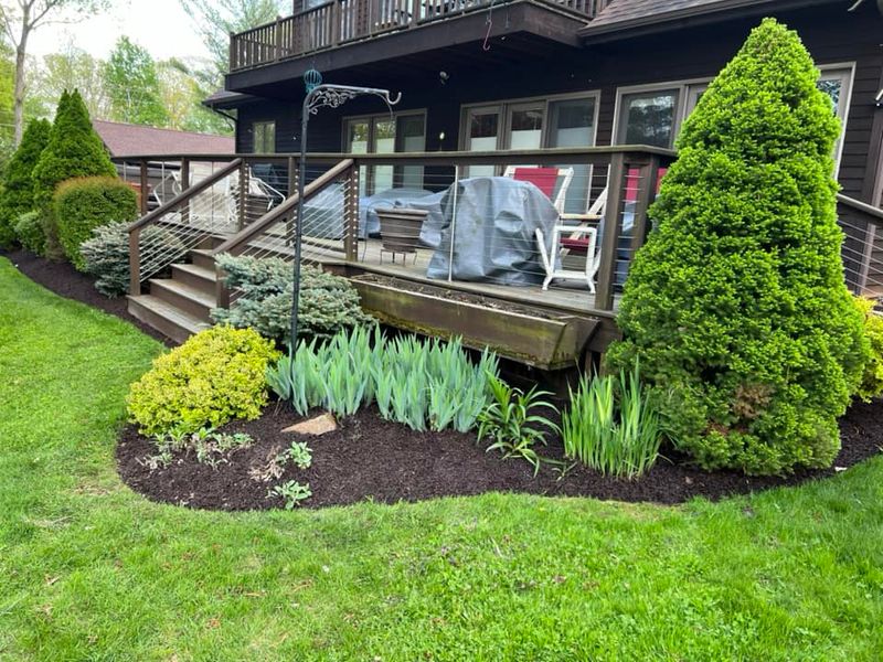 Lawn Care