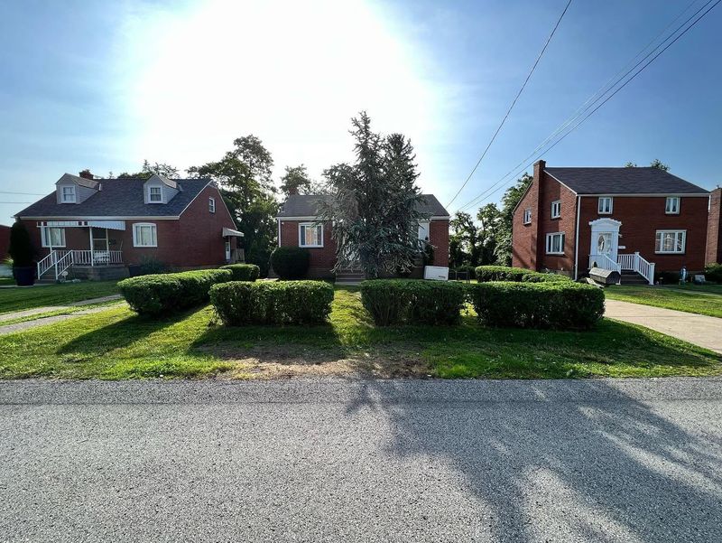 Shrub Trimming
