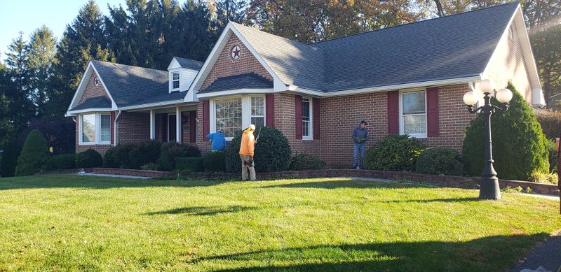 Lawn Care