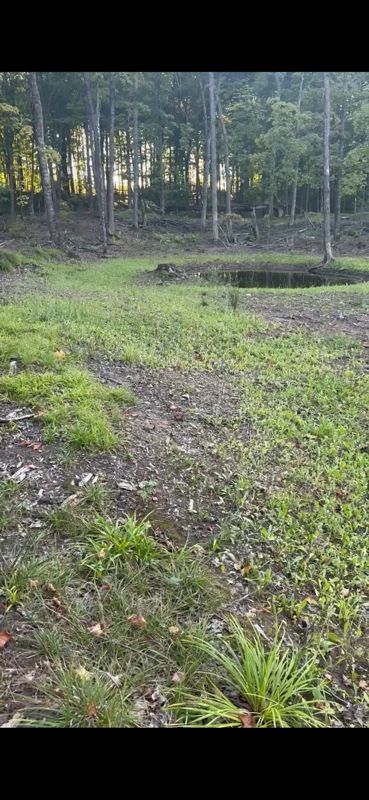 Pond Digging