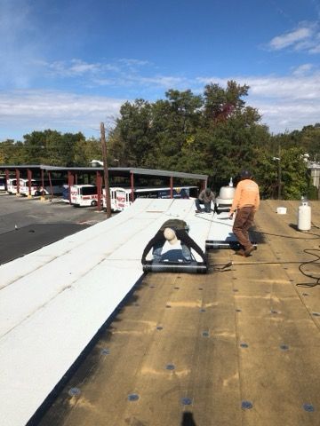 Flat Roof