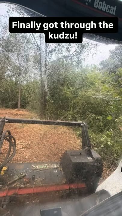 Land Clearing Photos