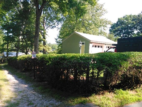 Hedge/Tree/Brush Cutting
