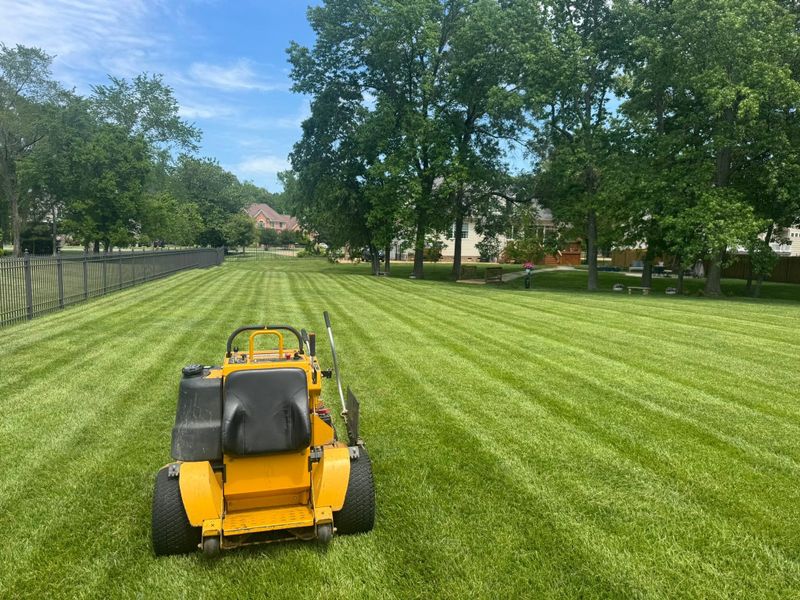 Lawn Mowing