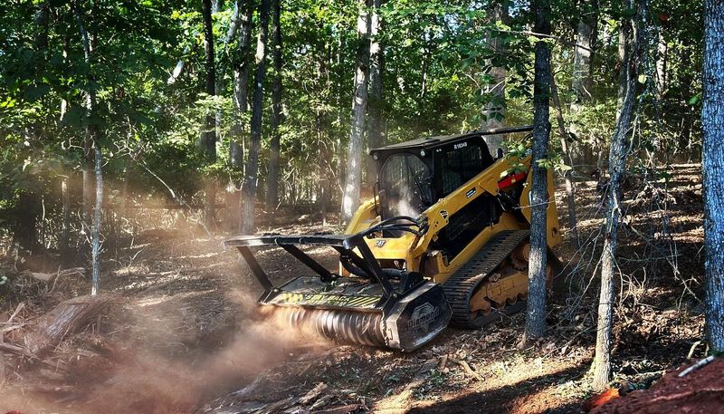 Stump Grinding