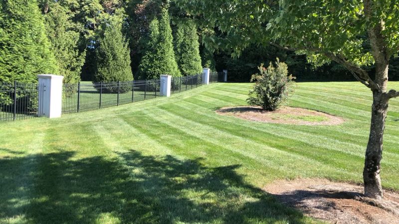 Lawn Care