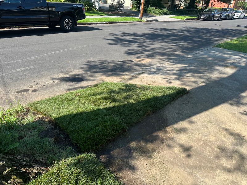 Sodding