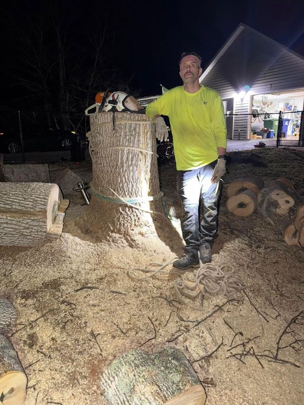 Tree Removal