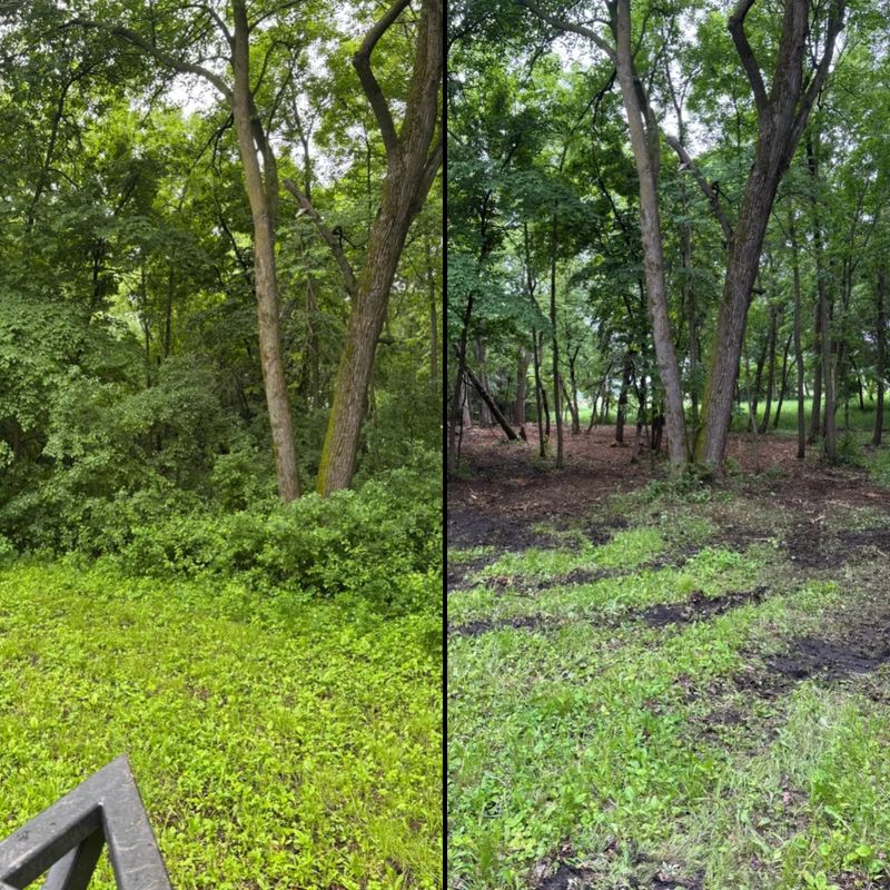 Fence Line Clearing