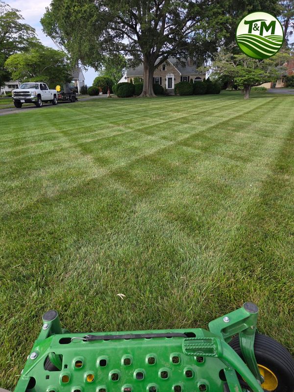 Lawn Care & Maintenance