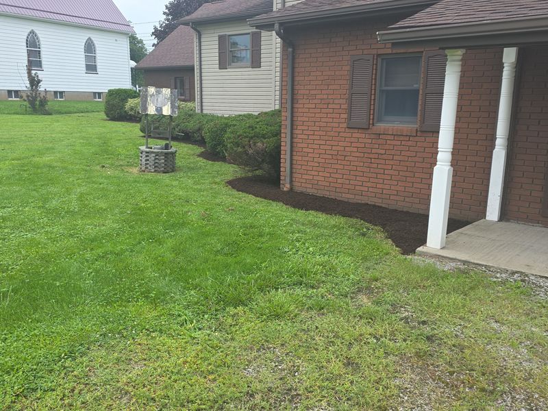 Tree & Shrub Care