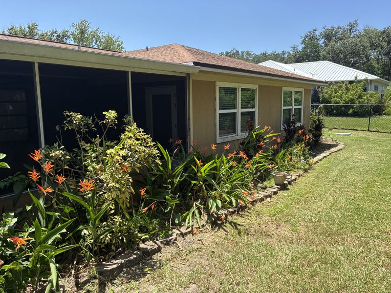 Tree and Hedge Care