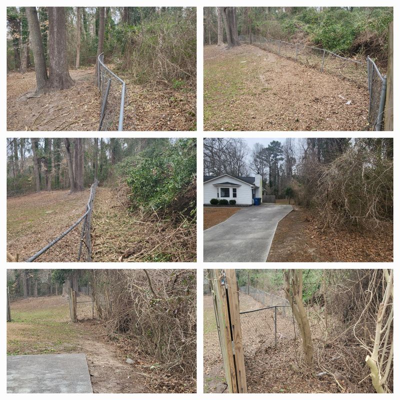 Brush Clearing