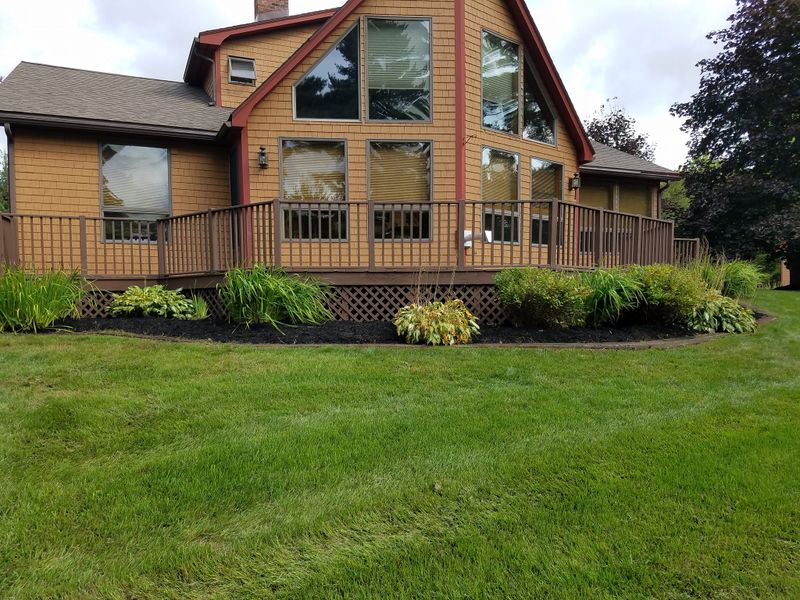 Lawn Maintenance