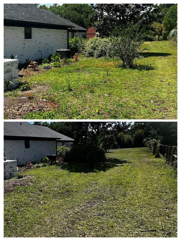 Yard Maintenance & Cleanup