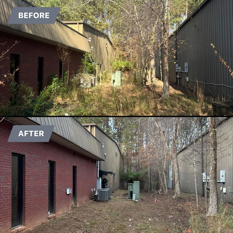 Shrub/Bush Trimming
