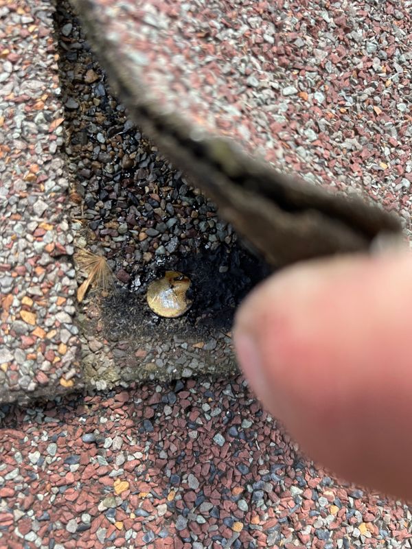 "Swift Solutions in Hamilton: Expert Shingle Roof Repair and Leak Fixation"