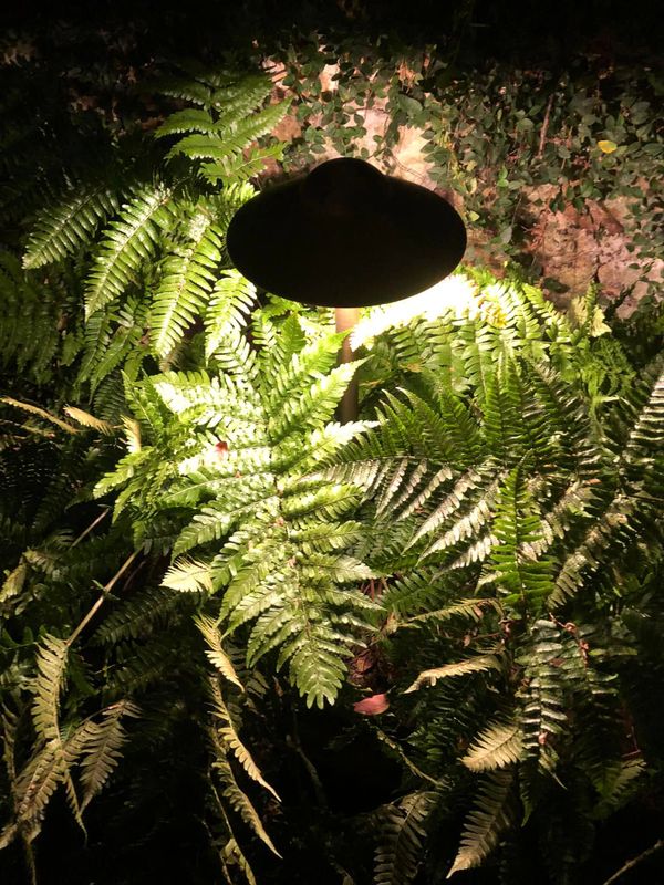 Lighting Installation and Repairs