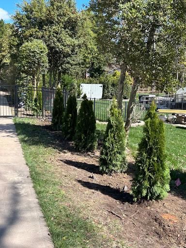 Tree & Shrub Trimming