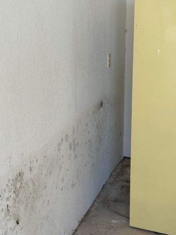 Mold Remediation