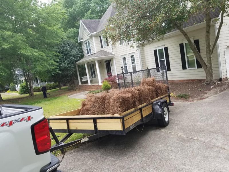 Mulch Installation