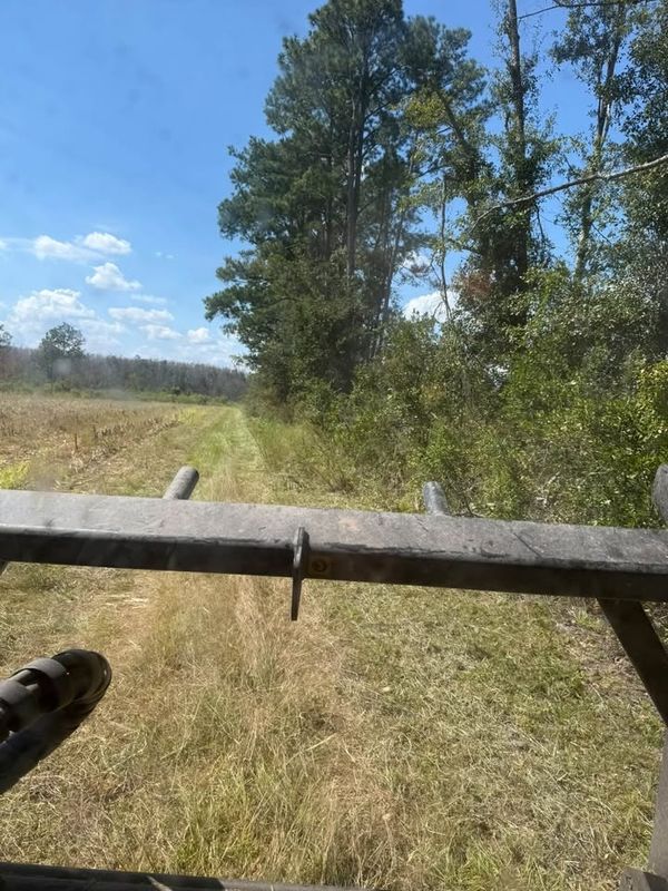 Forestry Mulching
