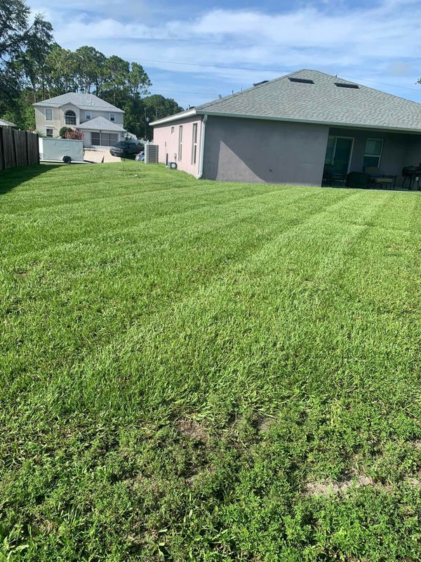 Lawn Care