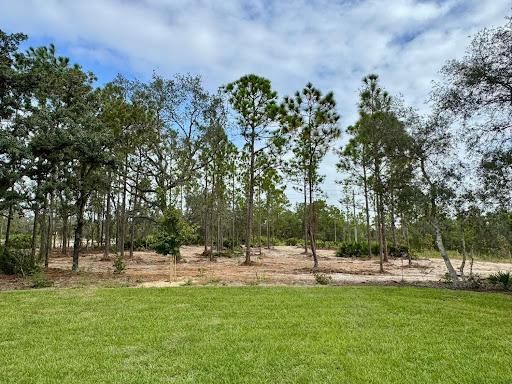 Land Clearing & Demolition