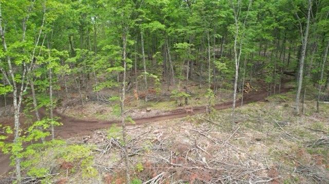 Site Grading