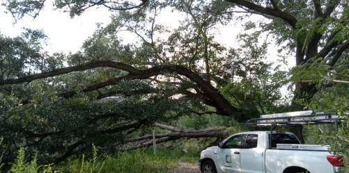 Tractor Service's ! Grapple work ; minor land clearing tree service ; chainsaw work ; gardens / food plots discing ETC