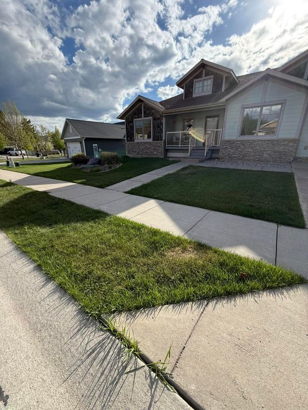 Lawn Maintenance