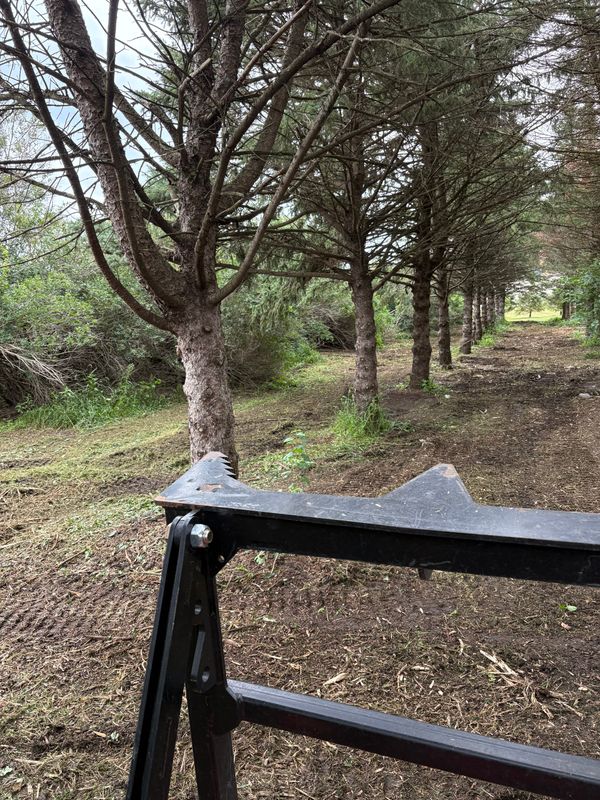 Land maintenance and brush control