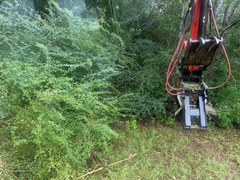 Land Clearing