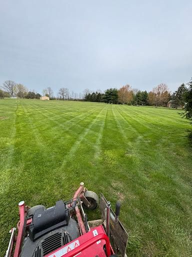 Spring & Fall Clean Ups