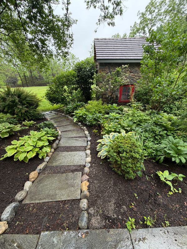 Garden Design & Landscaping