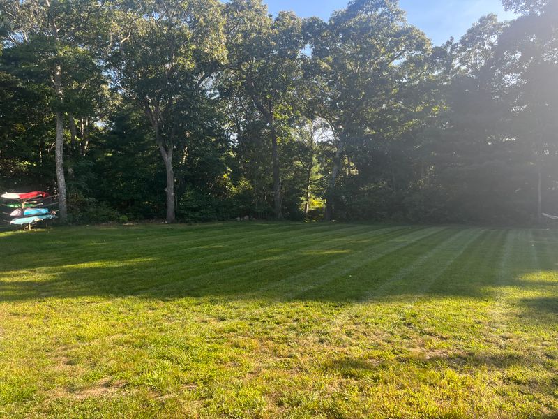 Mowing gallery