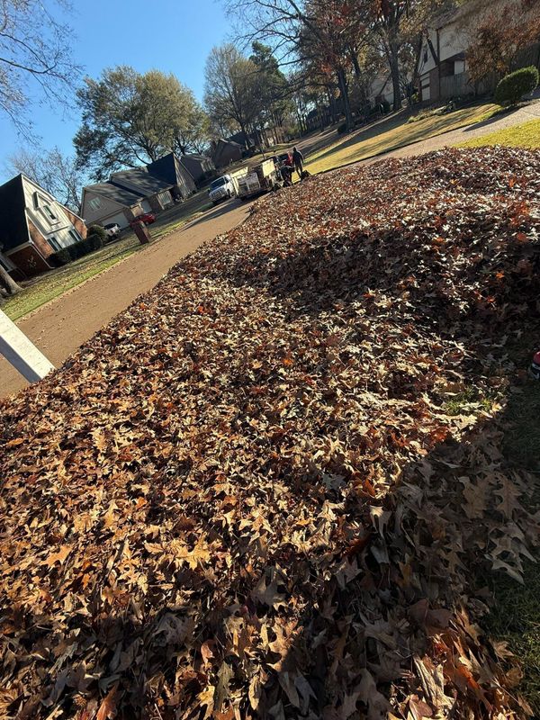 Fall Clean Up