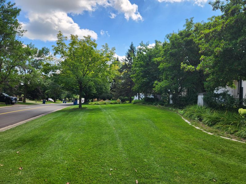 Mowing 