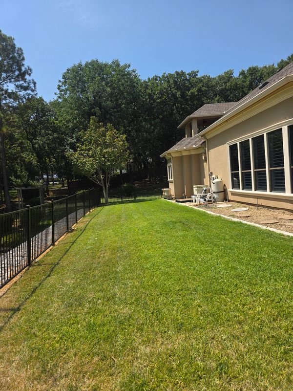Lawn Maintenance