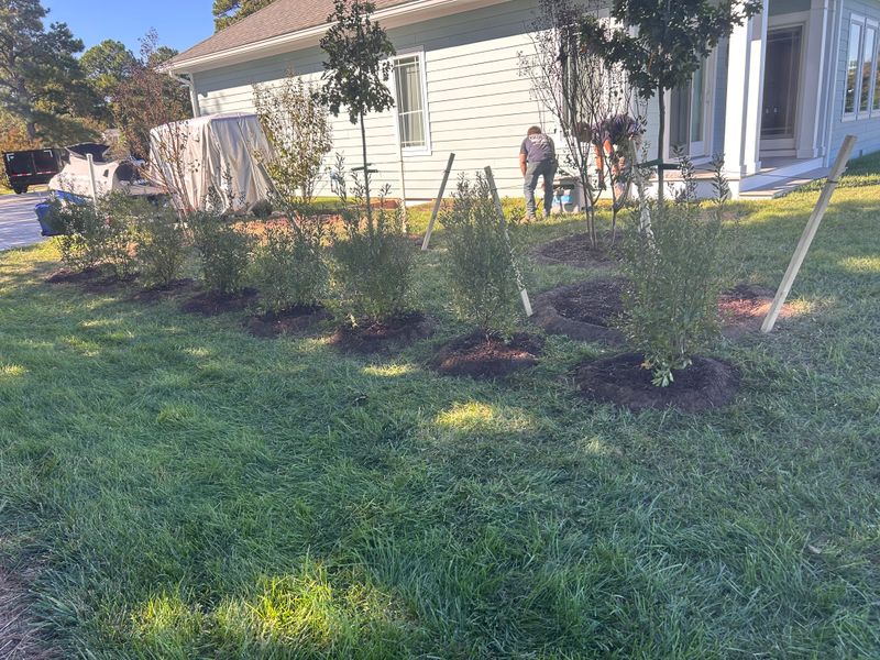 Shrub and Plant Trimming