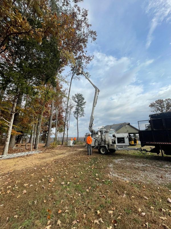 Other Tree Services